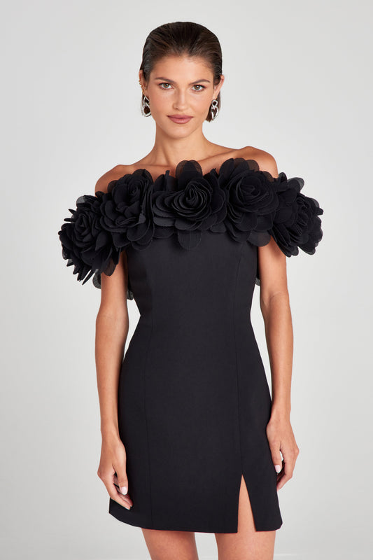 Renee Schwarzes Kleid