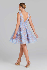 Daisy Blue Dress