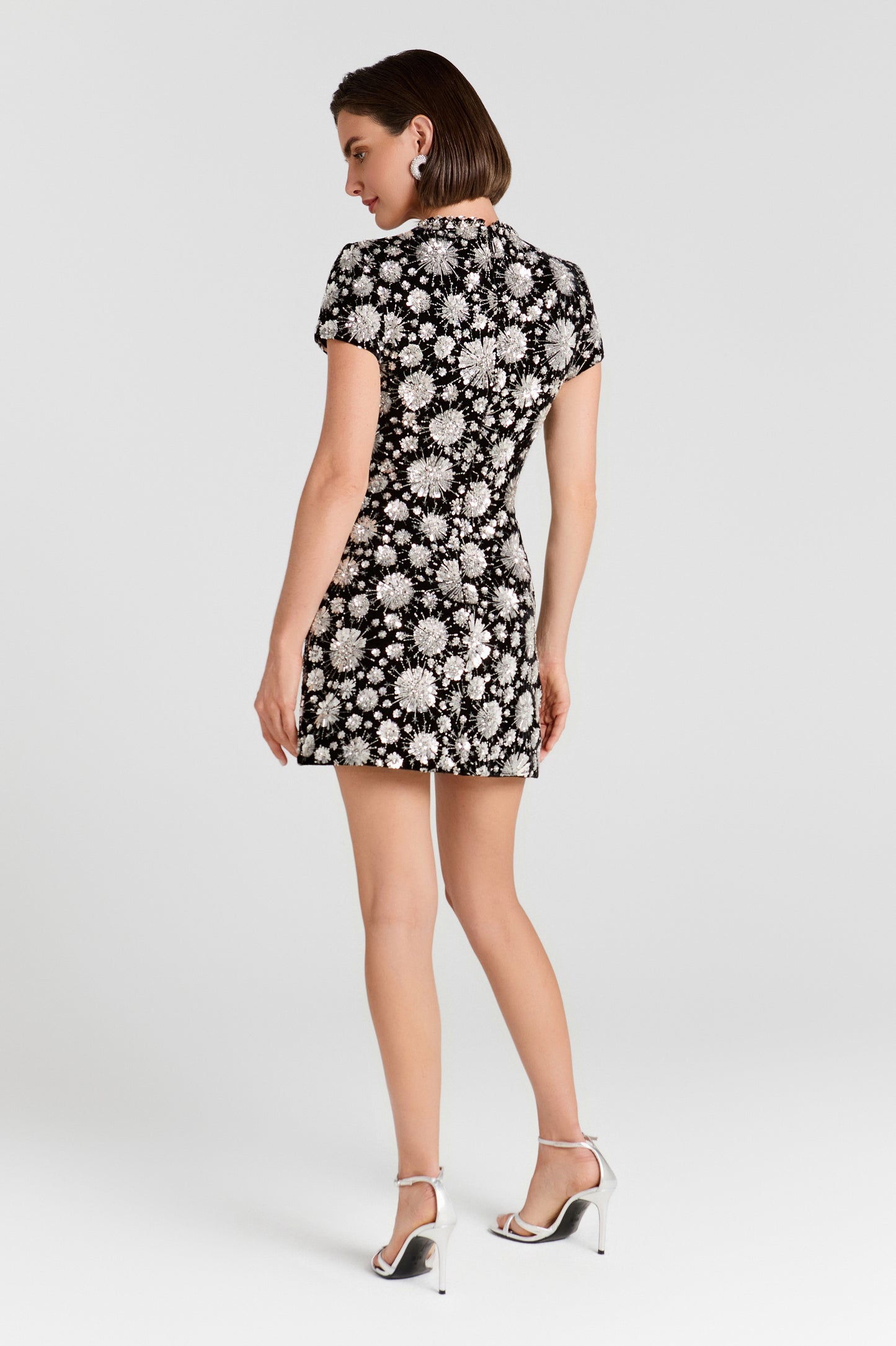 Evie Silbernes Kleid