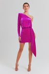 Anya Fuchsia Dress